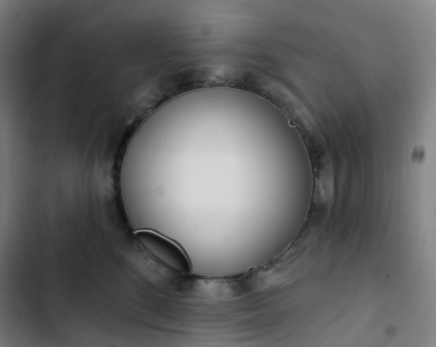 X0000103280520200809051533