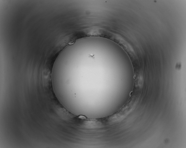 X0000103280521200809051533