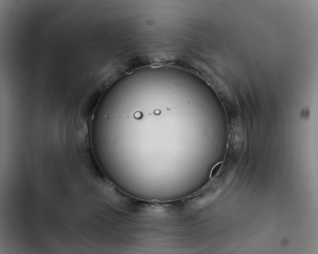 X0000103280523200809051533