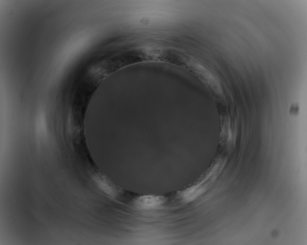 X0000103280526200809051533