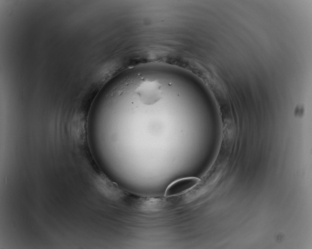 X0000103280527200809051533