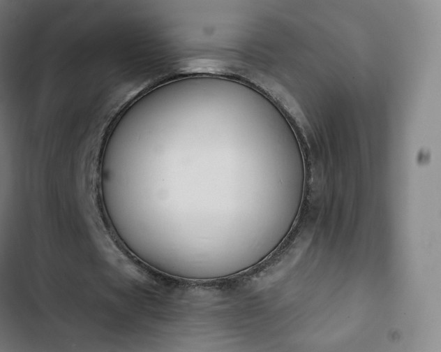 X0000103280529200809051533