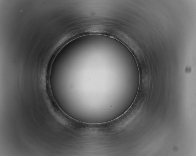 X0000103280530200809051533