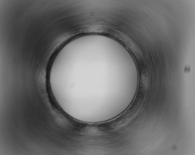 X0000103280534200809051533