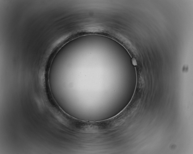 X0000103280535200809051533