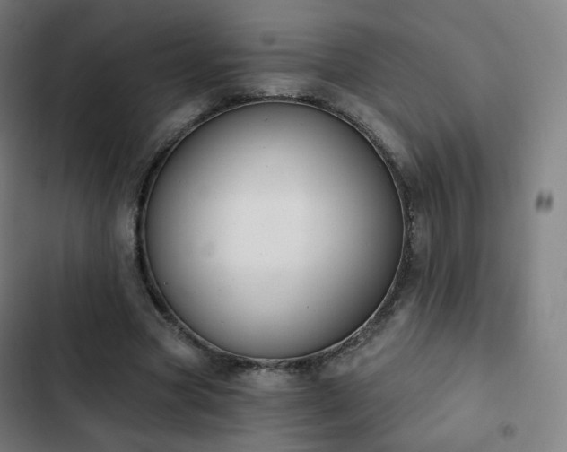 X0000103280537200809051533