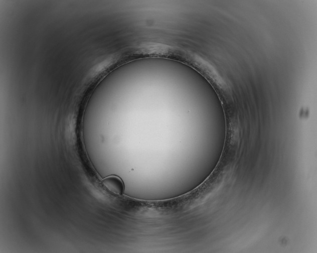 X0000103280538200809051533