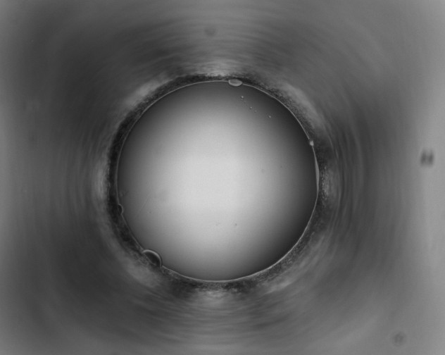 X0000103280540200809051533