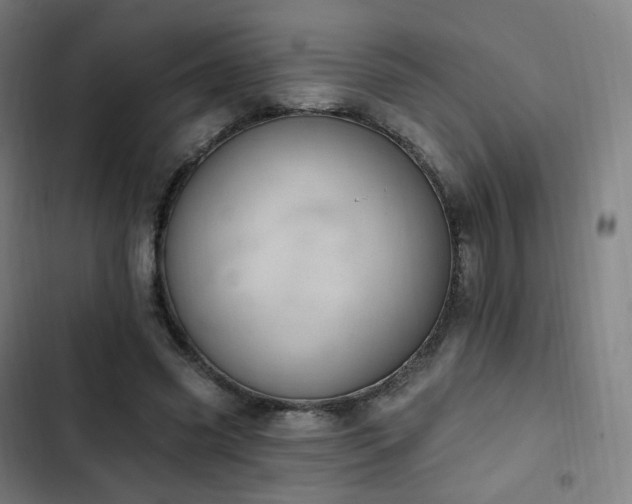 X0000103280541200809051533