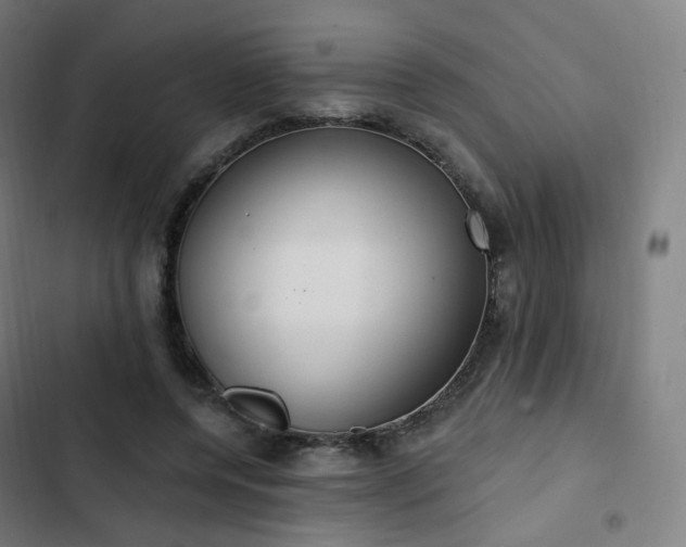 X0000103280544200809051533