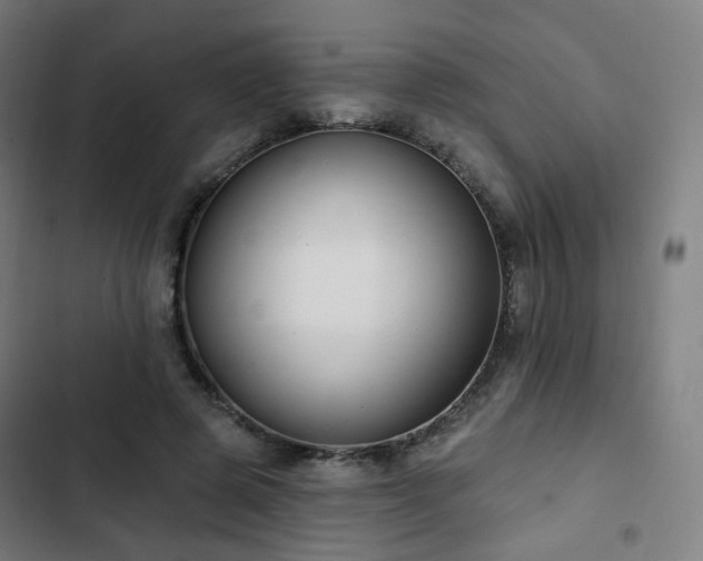 X0000103280545200809051533