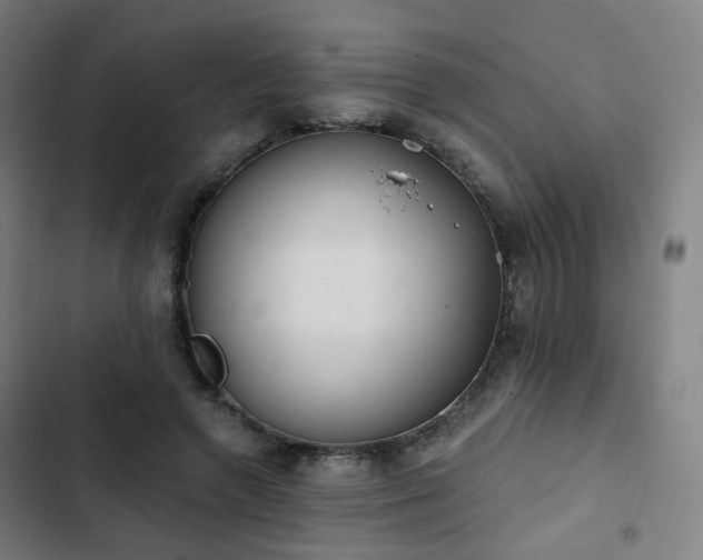 X0000103280546200809051533