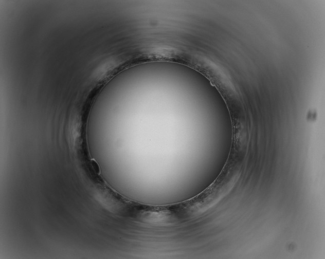 X0000103280548200809051533