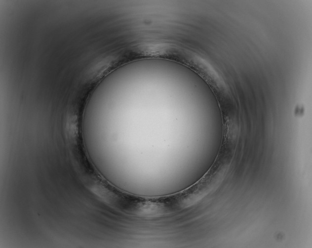 X0000103280549200809051533