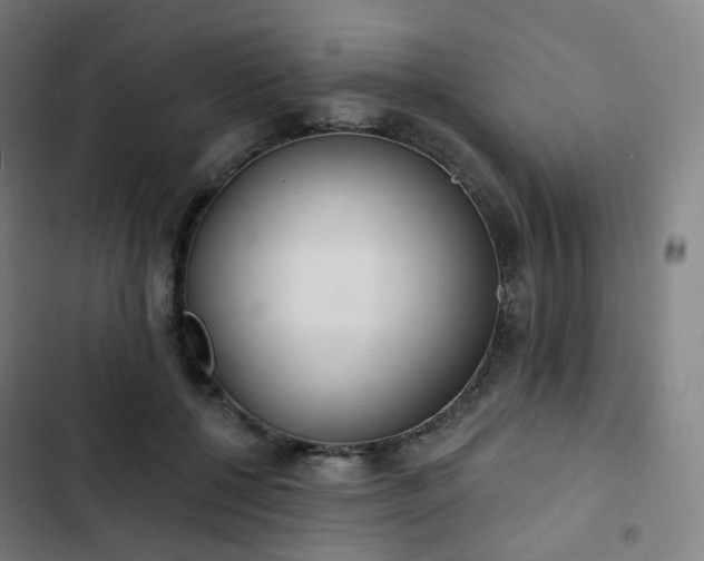 X0000103280552200809051533