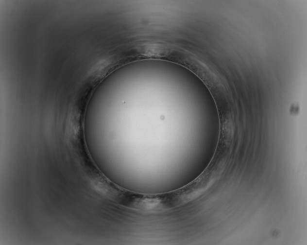 X0000103280554200809051533