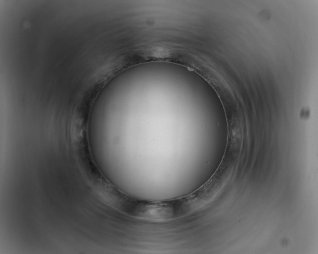 X0000103280555200809051533