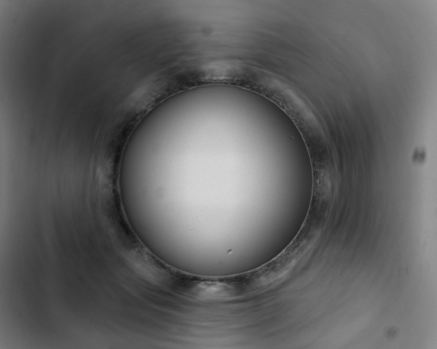 X0000103280557200809051533