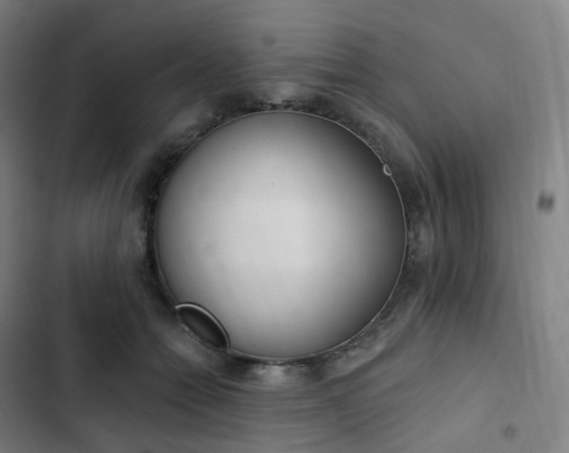 X0000103280558200809051533