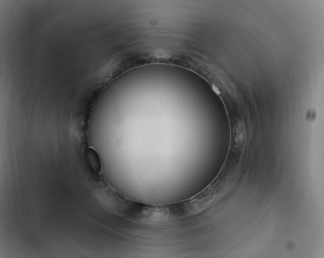 X0000103280559200809051533