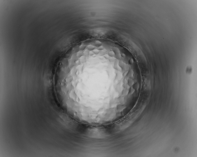 X0000103280561200809051533