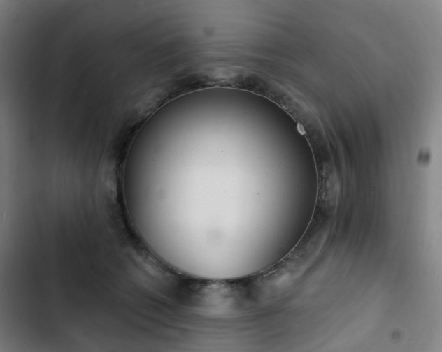 X0000103280562200809051533