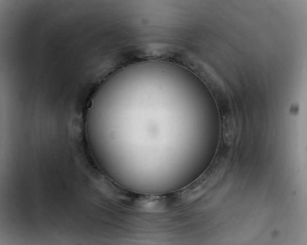 X0000103280563200809051533