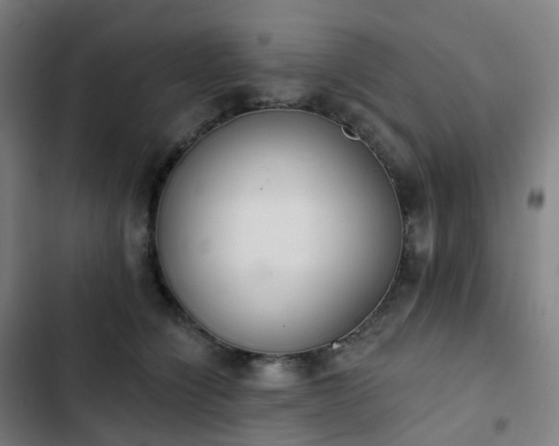 X0000103280564200809051533