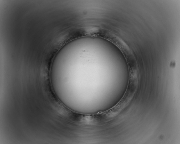 X0000103280565200809051533