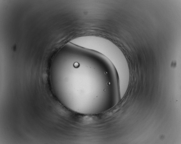 X0000103280566200809051533