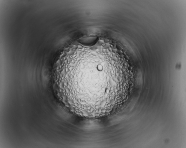 X0000103280569200809051533