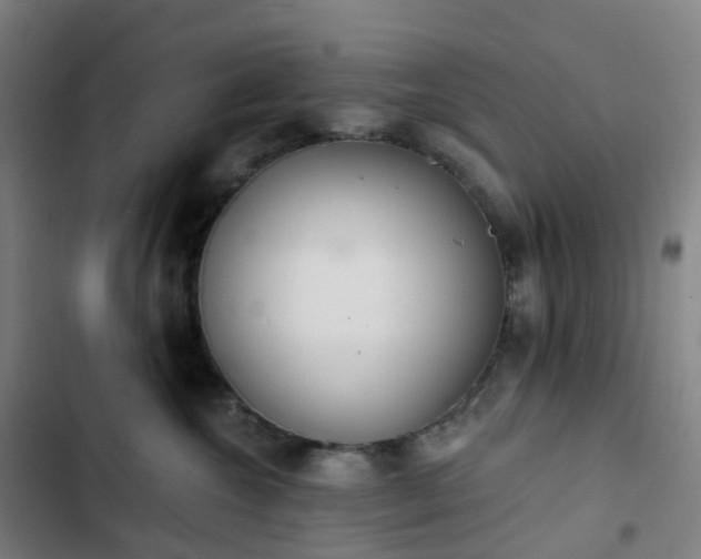 X0000103280572200809051533