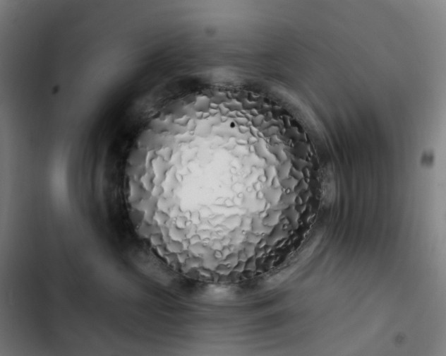 X0000103280573200809051533