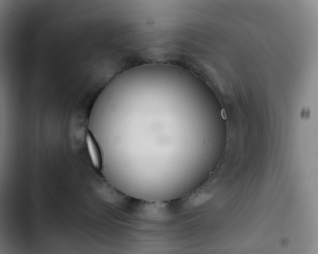 X0000103280576200809051533