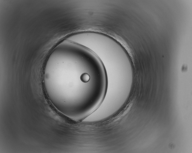 X0000103280577200809051533