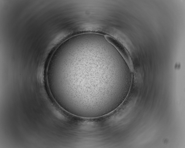 X0000103280581200809051533