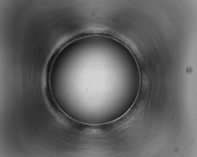 X0000103280582200809051533