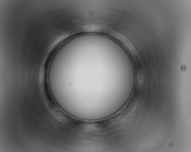 X0000103280583200809051533