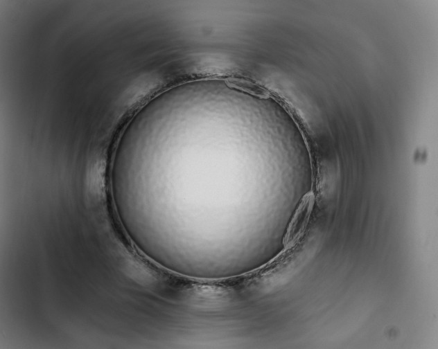 X0000103280585200809051532