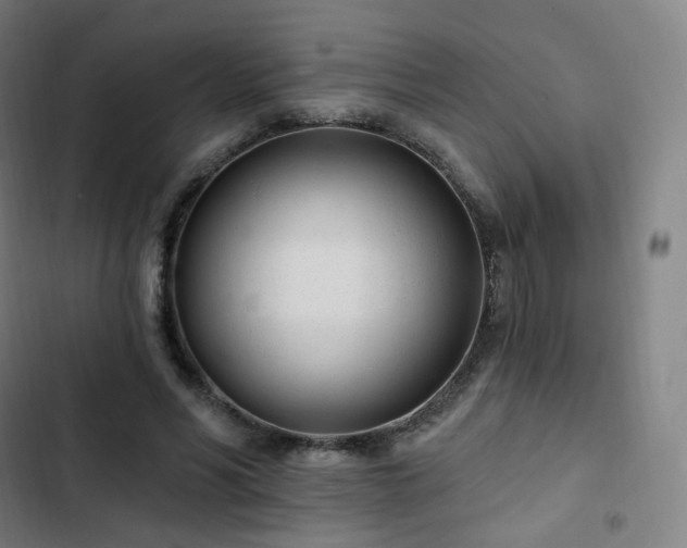 X0000103280590200809051532