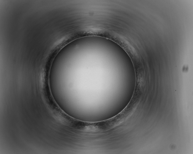 X0000103280591200809051532