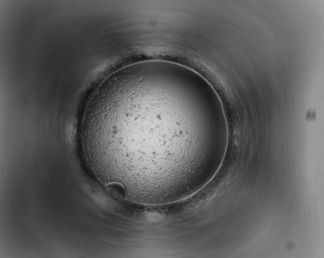 X0000103280592200809051532