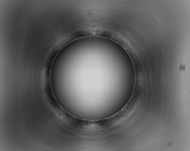 X0000103280594200809051532