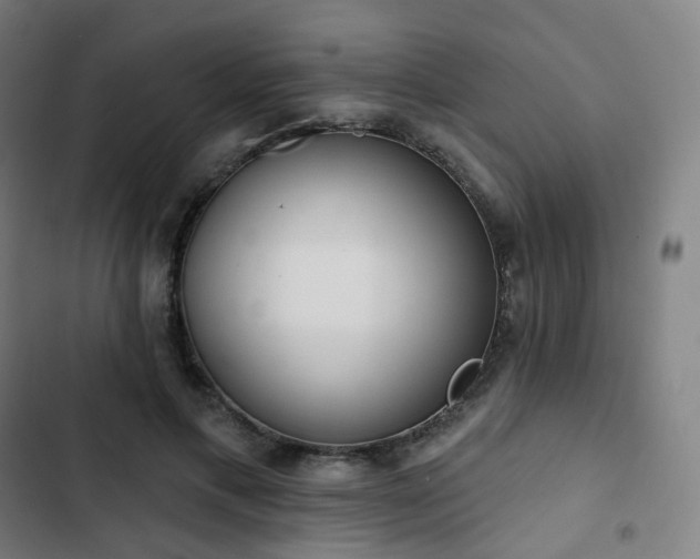 X0000103280597200809051532