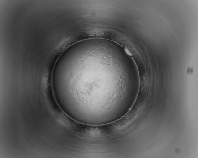 X0000103280600200809051532