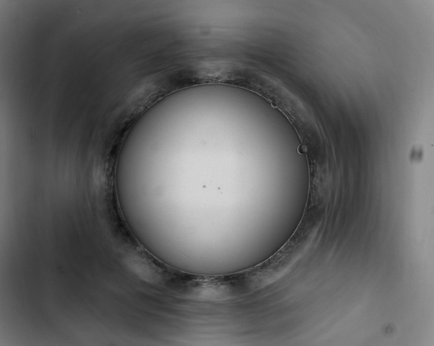 X0000103280601200809051532