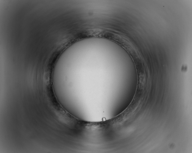 X0000103280602200809051532