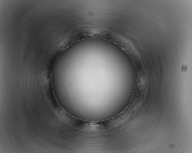 X0000103280607200809051532