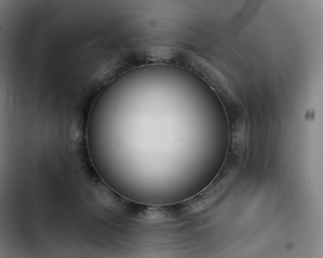 X0000103280608200809051532