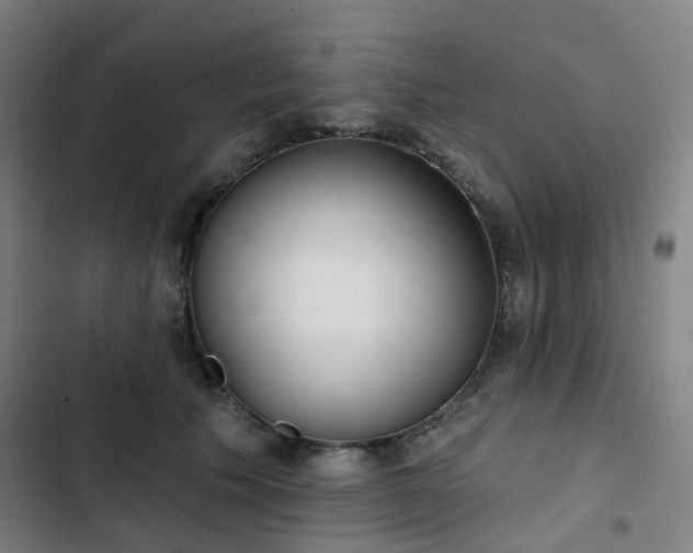 X0000103280609200809051532